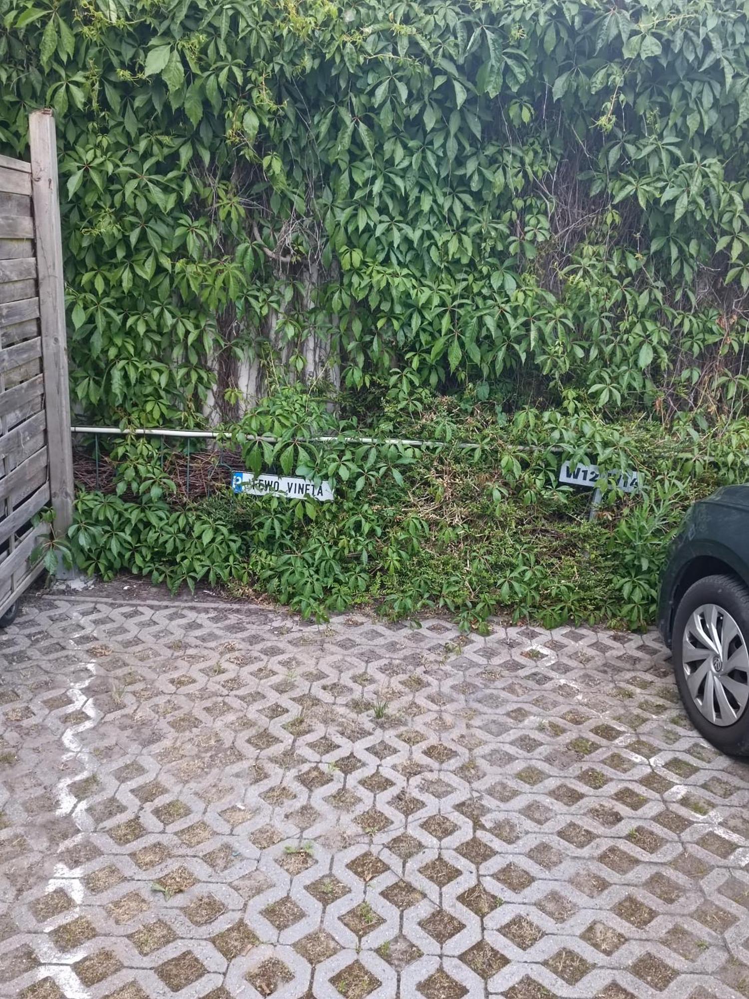 Fewo Vineta Barth Bagian luar foto